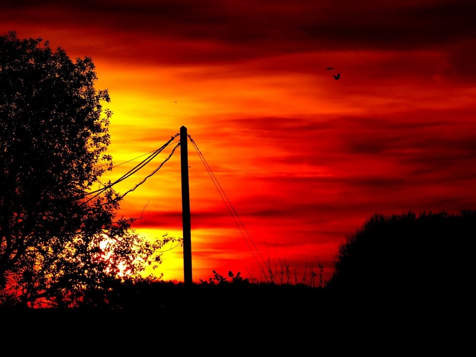 Landscape with the silhouettes in the afterglow
