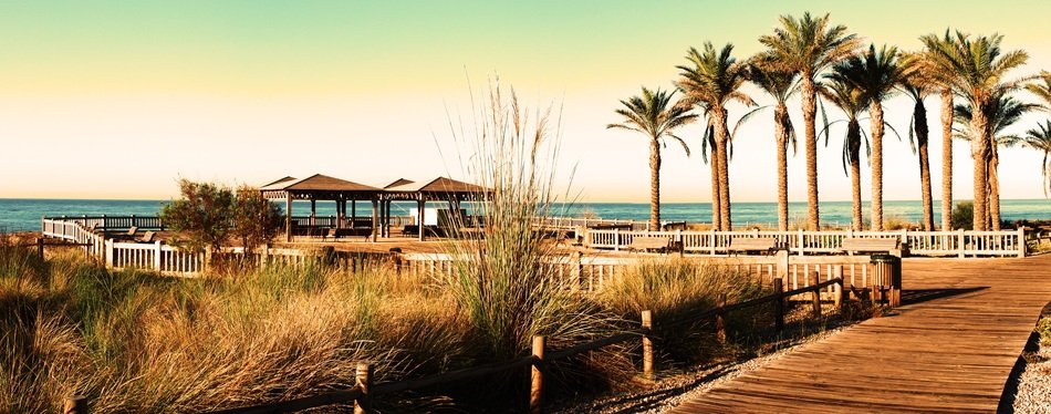 palm trees on the promenade in spain