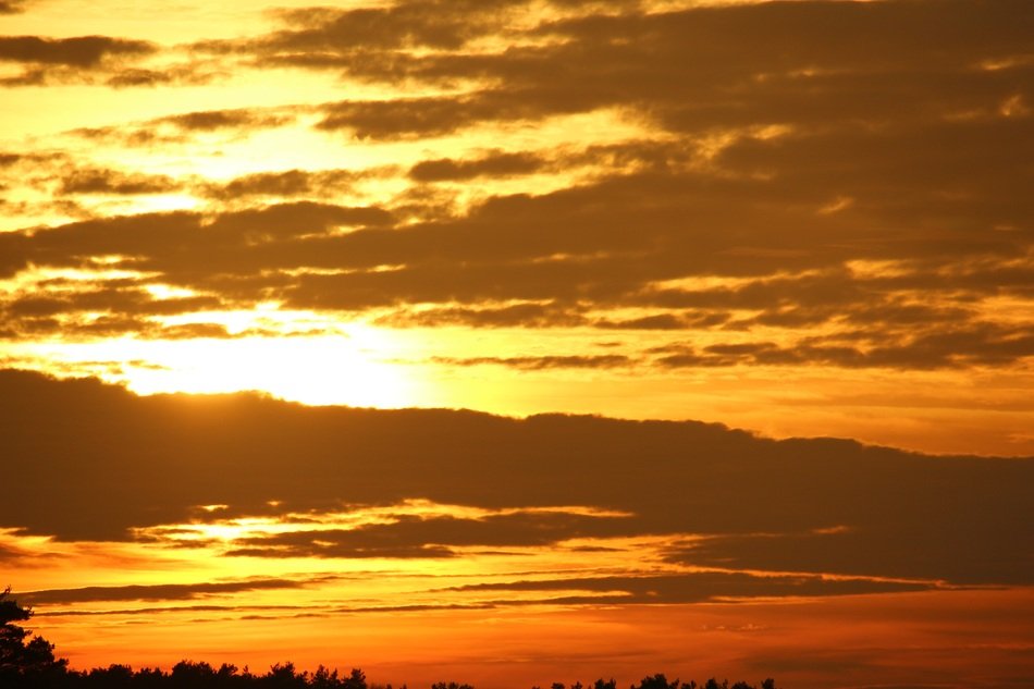 golden sunset in the evening sky