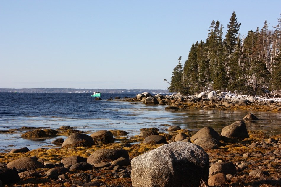 panoramic landscape view of the coastline in nova scotia in winter