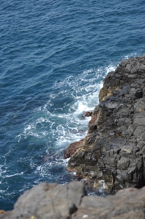 charming Sea Waves
