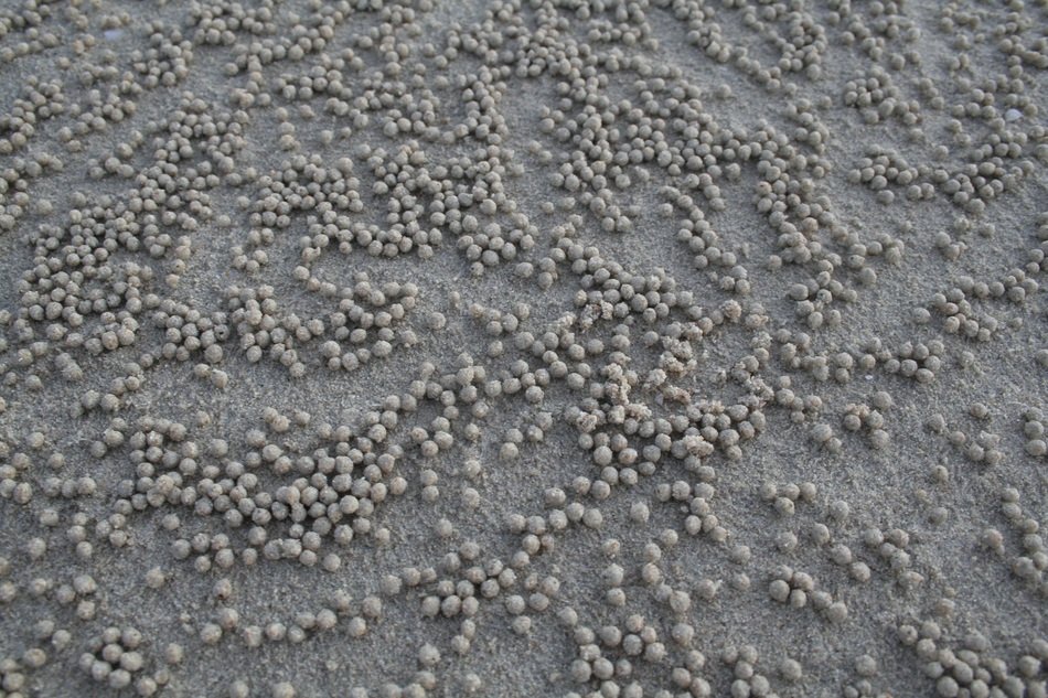 Beach Balls Sand