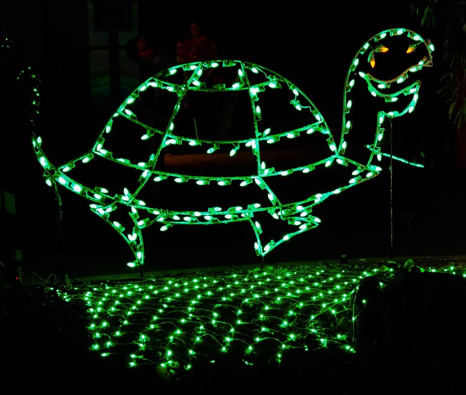 turtle christmas decoration