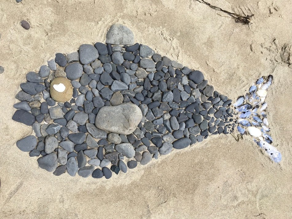 fish artwork made of stones on the beach