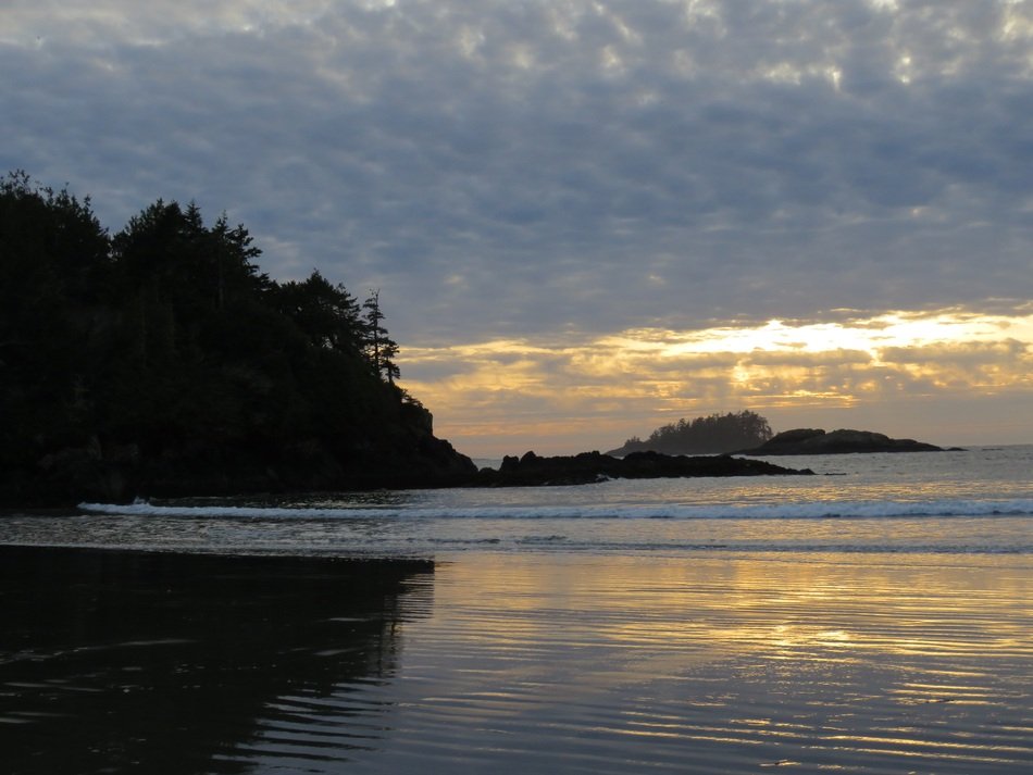 beach painting in british columbia