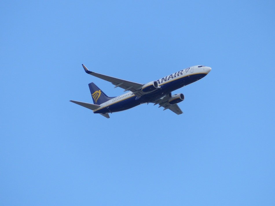 delightful Plane in the Sky