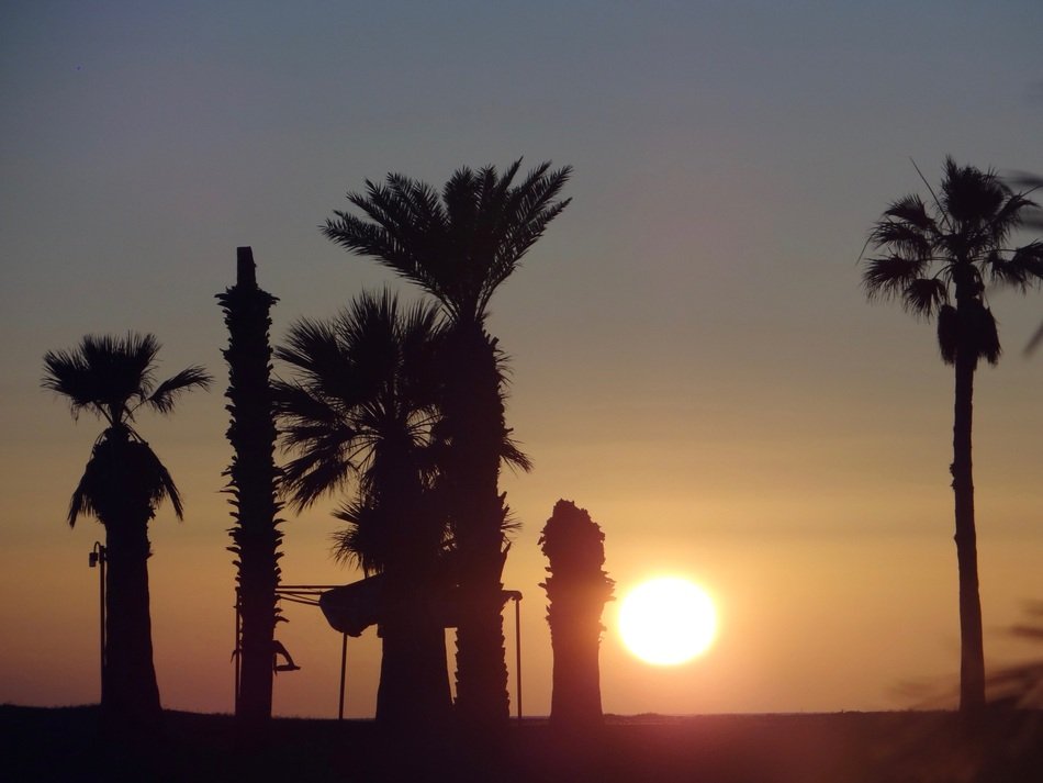 Landscape of sunset beach in San Carlos