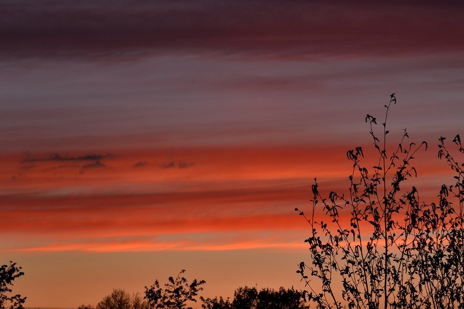 Orange Sky Colors