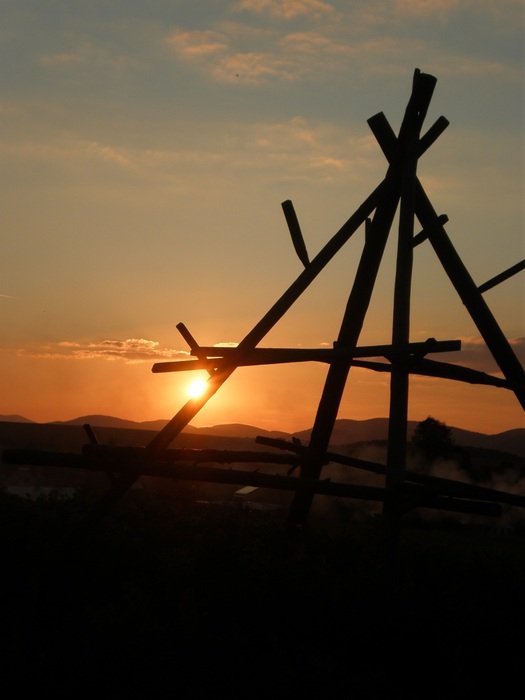 wooden sticks with a sunny view
