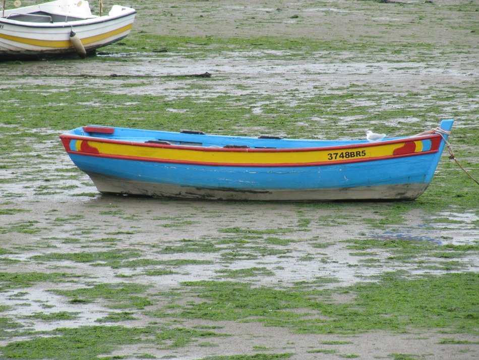 Ebb Boot Holiday