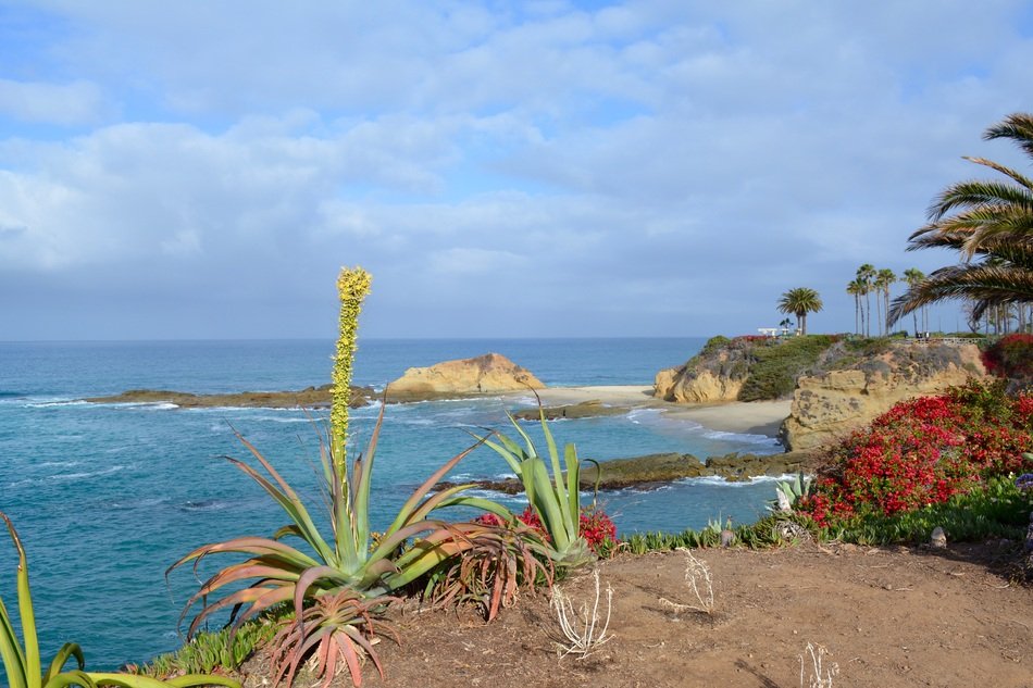 Picture of Ocean View