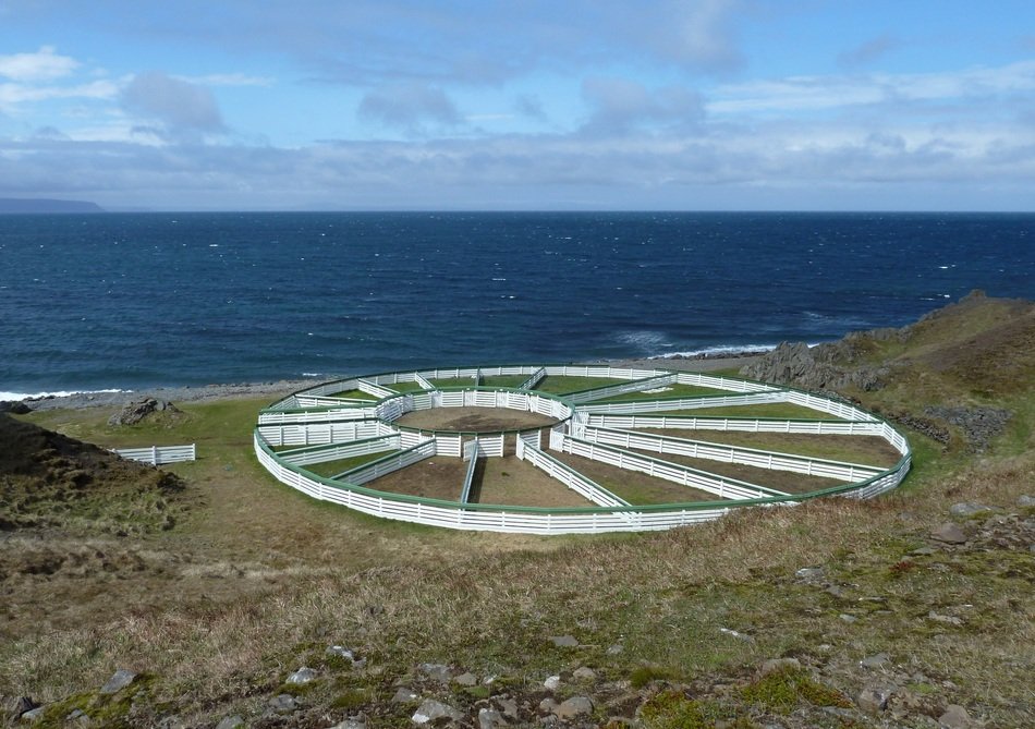 strikingly beautiful Vatnsnes Coupling