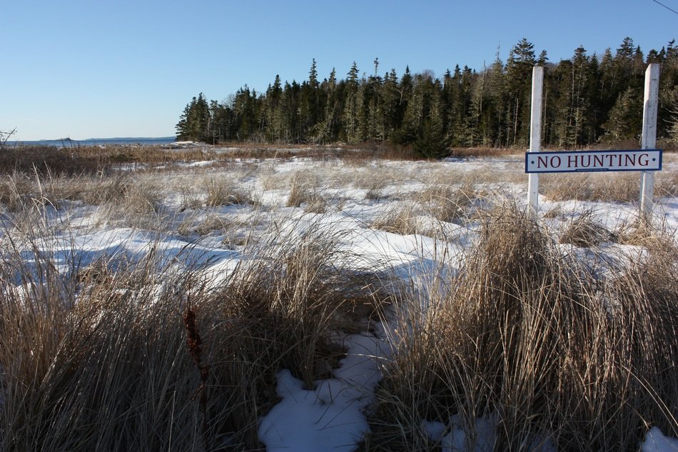 Landscape of coastline in Nova Scotia