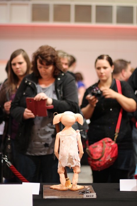 tourists look at the hero Dobby