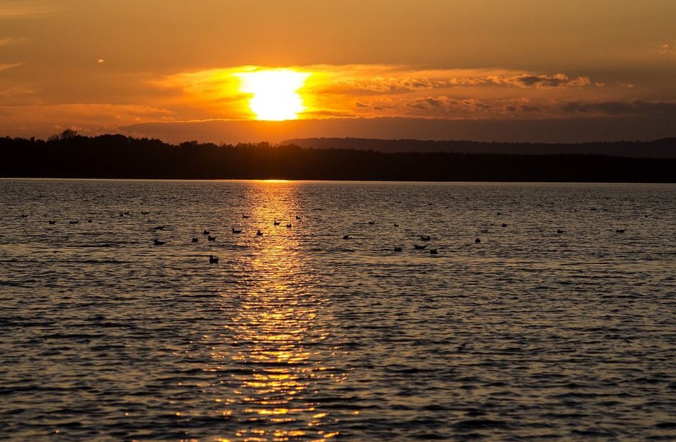 sea and sun at sunset