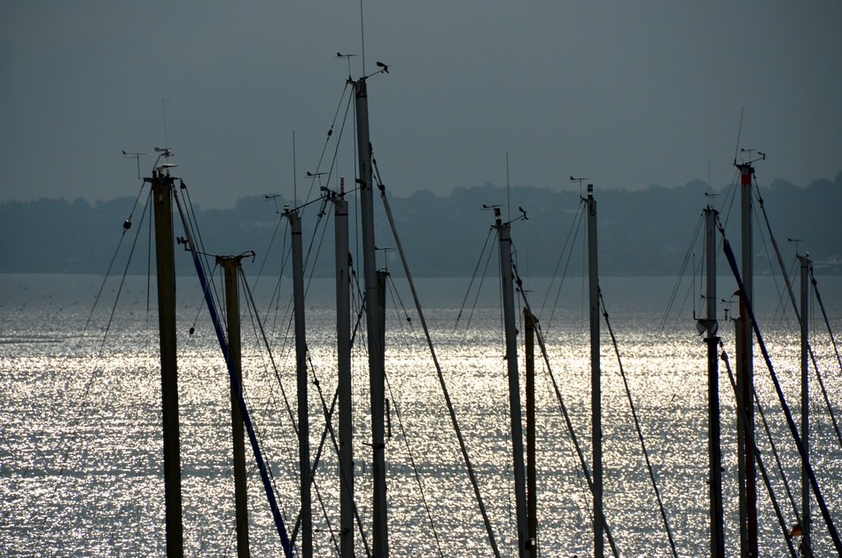 many masts of sailboats on the Baltic Sea
