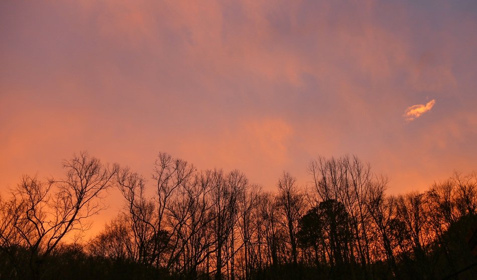 Picture of Evening Sky