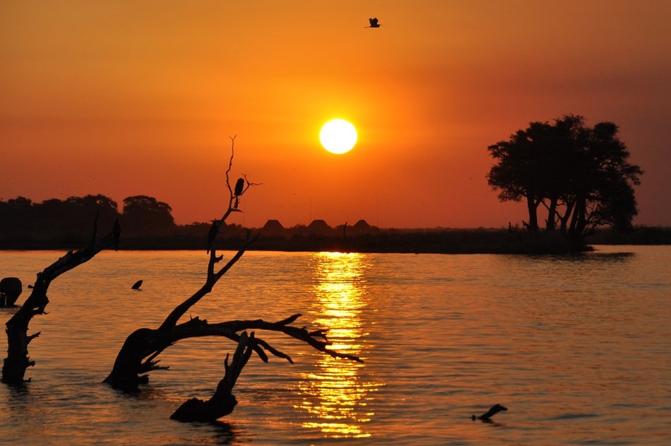 Landscape of Chobe at the sunset