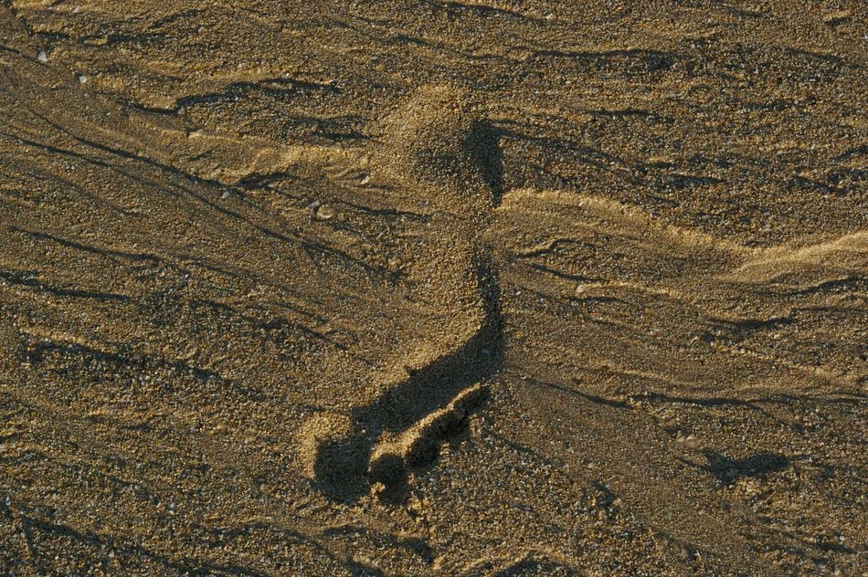 Borrows Sand