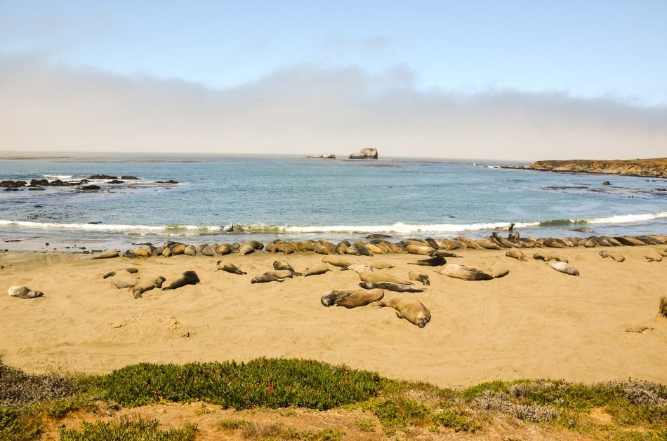 Piedras Blancas