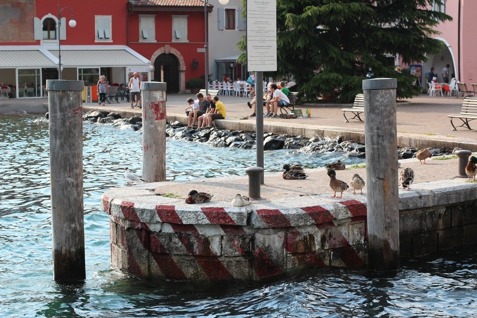 Steeg Torbole Port
