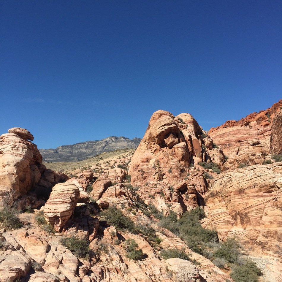 tourism in United States