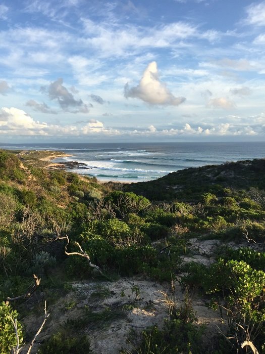 panoramic view of the national park on the ocean