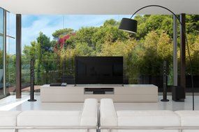Sony XBR70X850B 70-Inch 4K Ultra HD 120Hz 3D Smart LED TV (2014 Model) N3
