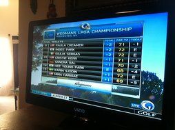 VIZIO E220MV 22-Inch 1080p LED LCD HDTV - Black