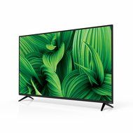VIZIO 50&rdquo; Class LED TV - D50n-E1 N2