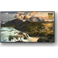 Sony XBR-65Z9D - 65-inch 4K Ultra HD LED TV w/ Flat Wall Mount Ultimate Bundle includes TV, Flat Wall Mount Ultimate... N5