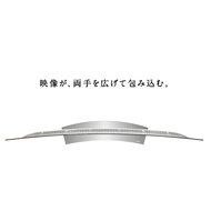 LG ELECTRONICS 55 OLED 4K Smart3D Curved / 55EG9600 / N4