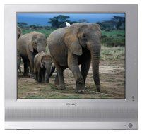 Sony MFM-HT95 19"LCD Monitor with TV Tuner (Silver)