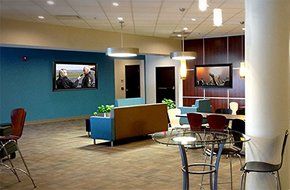 The TV Shield PRO Lite 75-80" Indoor TV/Display Enclosure N6