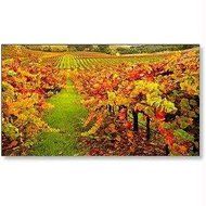 Brand New Nec Display Solutions X554un 55 Led Lcd Ultra Narrow Bezel (5.5Mm Bezel To Bezel) Public Display "Product...