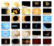 Digital Hotcakes Vol 11 Blooming Designs HD N2