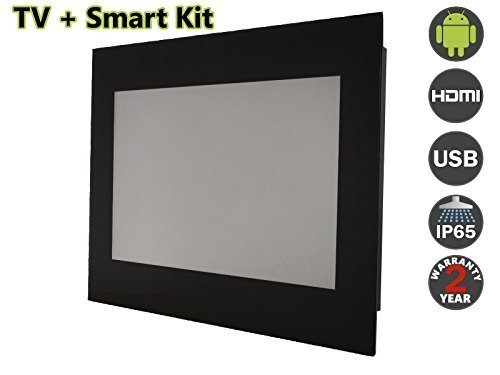 19" Bathroom Waterproof TV with Smart Kit, AVIS Electronics AVS190F(Black frame)