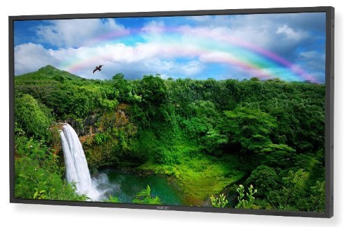 46IN Ws LCD 1920X1080 4000:1 P461 Dvi-d HDmi Blk with full Av