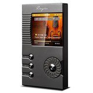 Cayin N5 High Resolution Audio Player with Hand Made Dignis Leather Case (Black) N3