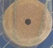 Lixit Trace Mineral Wheel in Bulk