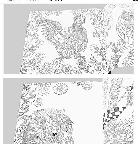4 Designs/lot Adult Coloring Books mystery Garden beauty and beast/ Magical dream Enchanted Forest 24 Pages Kids... N6