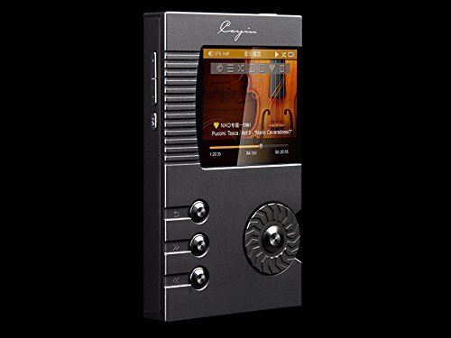 Cayin N5 High Resolution Audio Player with Hand Made Dignis Leather Case (Black) N4