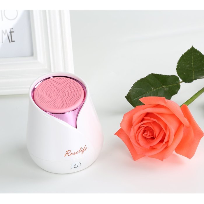 Wireless Portable Rose Bluetooth Speaker, 6 Hours Playtime, High-end Gift Bluetooth Speakers for Phone, PC and... N2