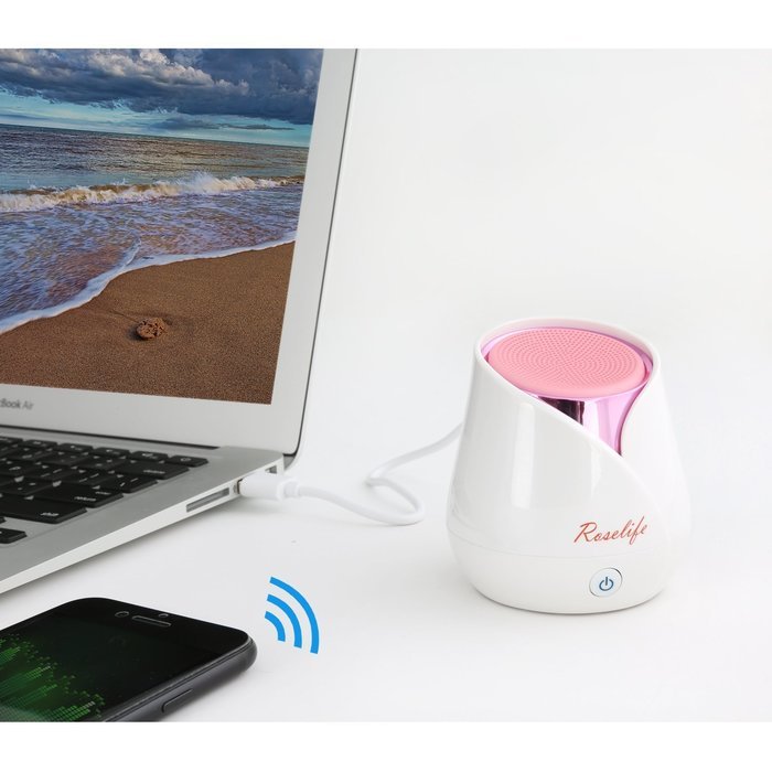 Wireless Portable Rose Bluetooth Speaker, 6 Hours Playtime, High-end Gift Bluetooth Speakers for Phone, PC and... N4
