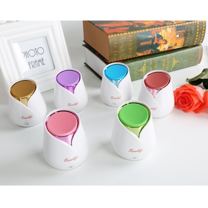 Wireless Portable Rose Bluetooth Speaker, 6 Hours Playtime, High-end Gift Bluetooth Speakers for Phone, PC and... N5