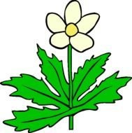 Flower Clip Art N42