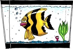 cartoon striped fish in aquarium
