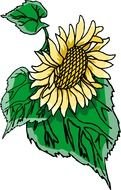 painted sunflower among greenery