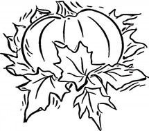 pumpkin in leaves as a graphic image