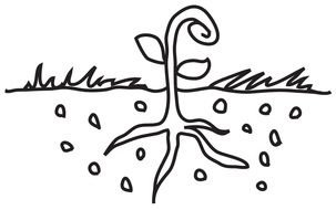 Seed Clip Art drawing
